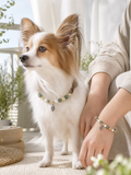 Forest Breeze Matching Crystal Set pet wearing lifestyle image