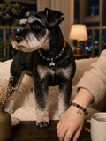 Midnight Burgundy Matching Crystal Set pet wearing lifestyle image