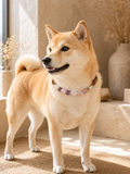 Sagittarius Guardian Pet Crystal Collar pet wearing decorative crystal collar