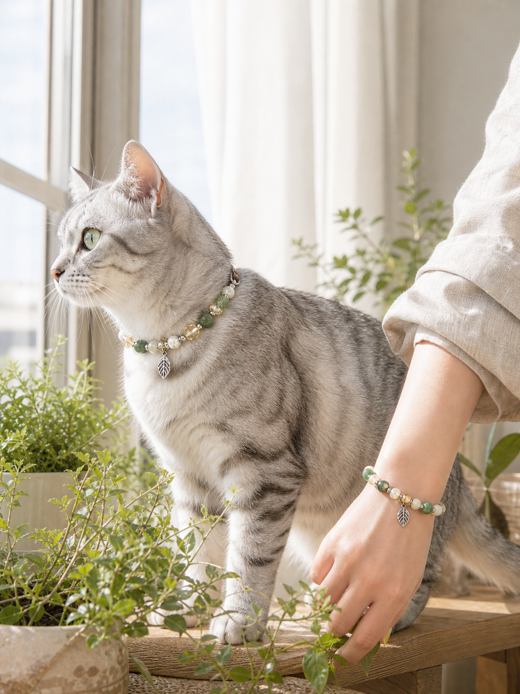 Forest Breeze Matching Crystal Set second pet wearing scene