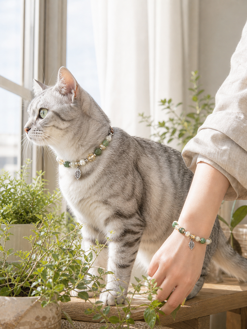 Forest Breeze Matching Crystal Set second pet wearing scene