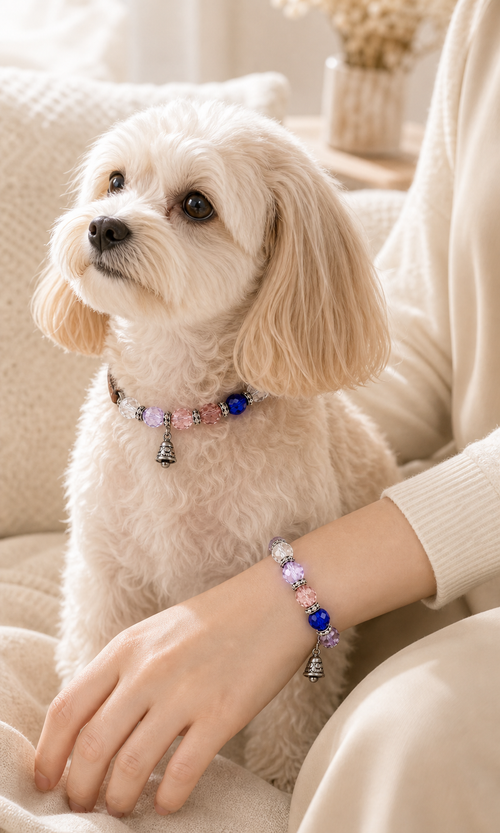 Human and pet matching crystal collar and bracelet wearing scene