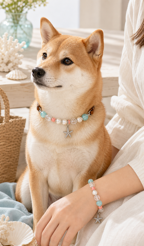 Shiba Inu and owner wearing Seafoam Star matching crystal set