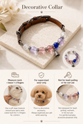 Decorative collar fit and supervised wear safety guide